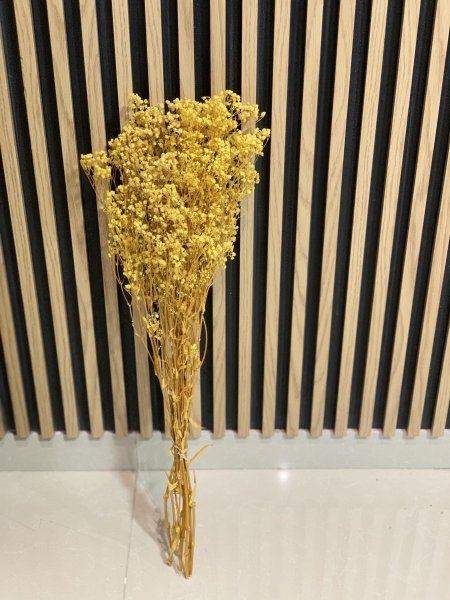 ورد